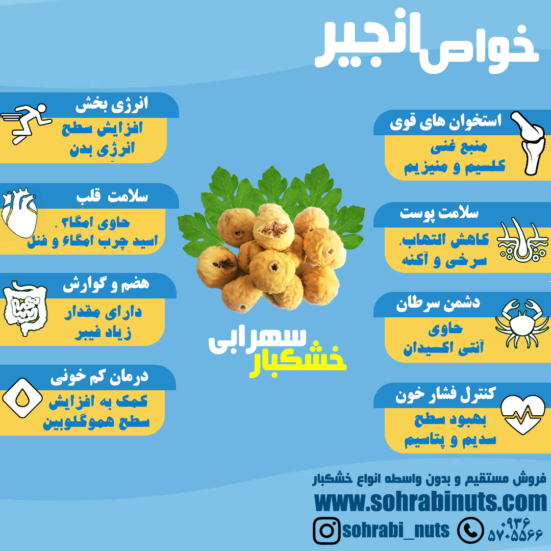 اینفوگرافیک خواص انجیر خشک اینفوگرافیک خواص انجیر خشک