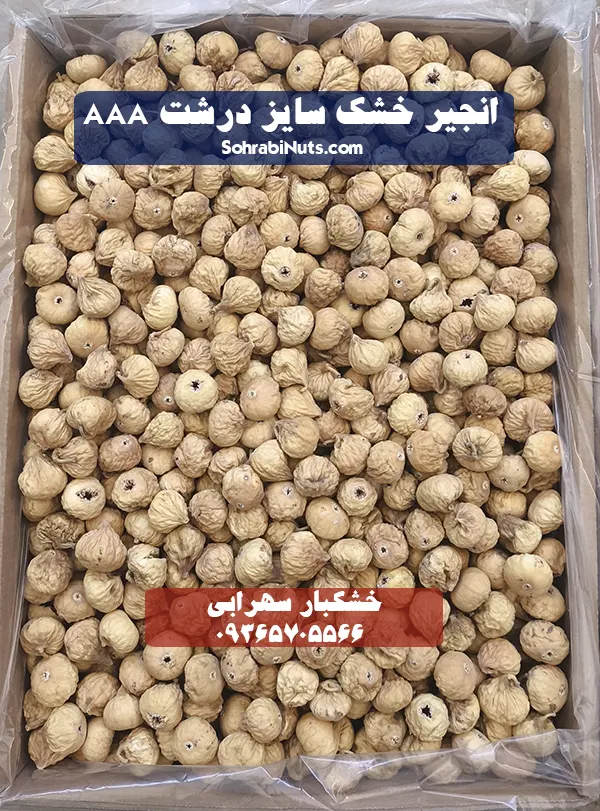 خرید انجیر | انجیر خشک سایز درشت یا انجیر AAA خرید انجیر | انجیر خشک سایز درشت یا انجیر AAA