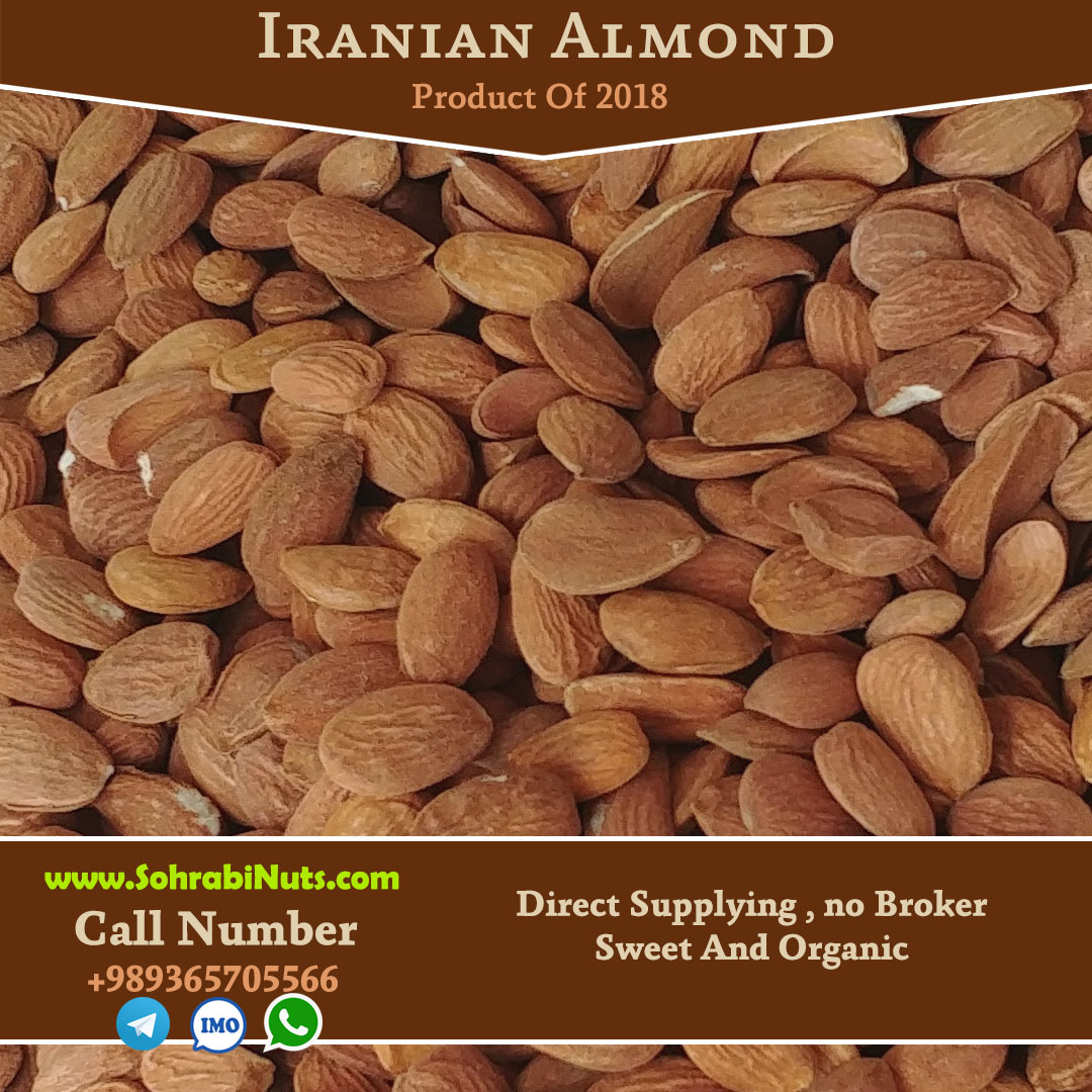 Iranian almond | direct supplying