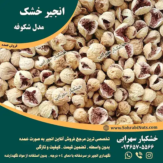 خرید انجیر پرک | کاملا نرم و تازه خرید انجیر پرک درجه یک ، نگهداری شده در سردخانه