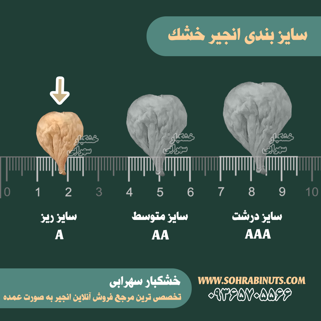 ریز ترین و درشت ترین نوع انجیر خرید انجیر ارزان قیمت