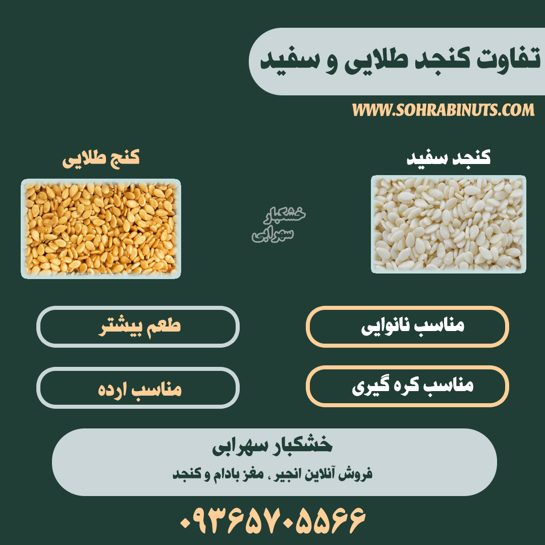 خرید کنجد | خام و بو داده | کمترین قیمت بازار خرید کنجد ، کنجد طلایی ، کنجد سفید