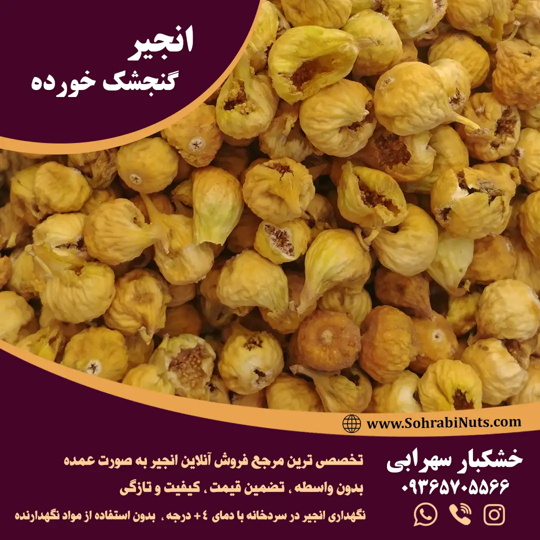 خرید انجیر گنجشک خورده خرید انجیر گنجشک خورده