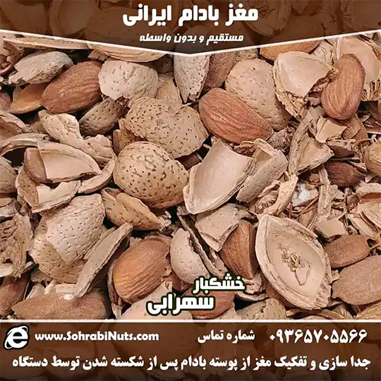 تفکیک مغز بادام ایرانی از پوسته مغز بادام درختی ایرانی
