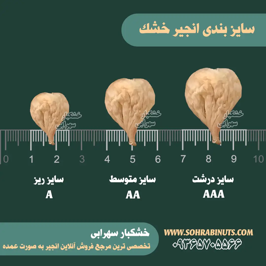 خرید انجیر | انجیر سایز ریز ، انجیر سایز متوسط ، انجیر سایز درشت خرید انجیر خشک در سایز های ریز ، متوسط و درشت به همراه قیمت انجیر به صورت روزانه