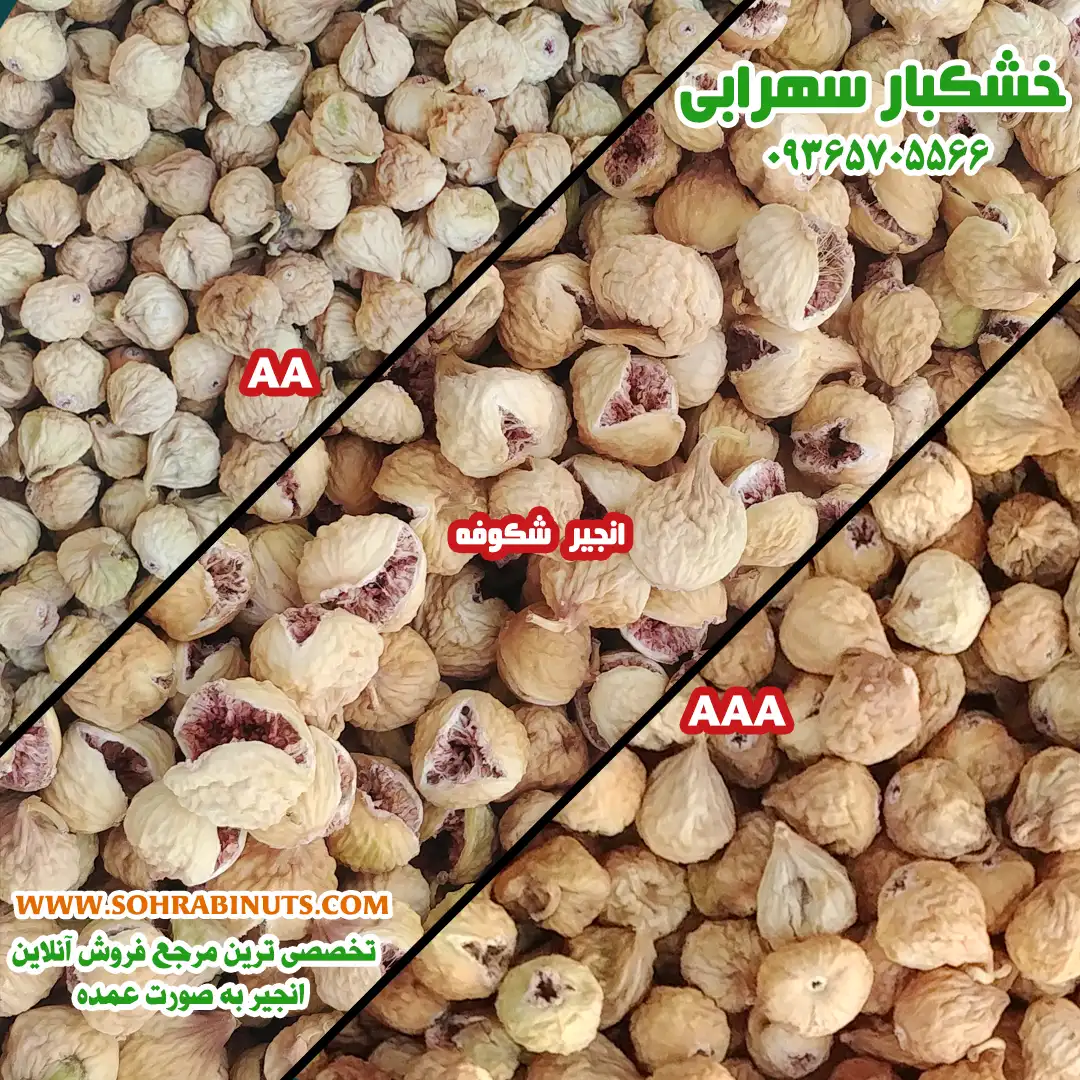 خرید انجیر | انواع انجیر خشک استهبان خرید و فروش عمده انواع انجیر خشک استهبان | قیمت انجیر خشک در انواع مختلف
