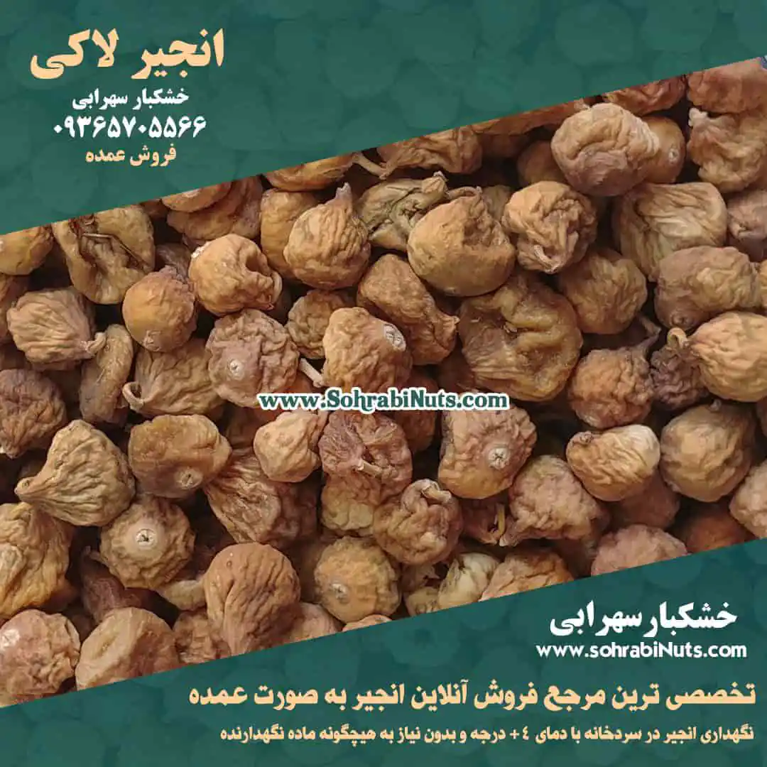 انجیر لاکی خرید انجیر آبگیری و انجیر لاکی