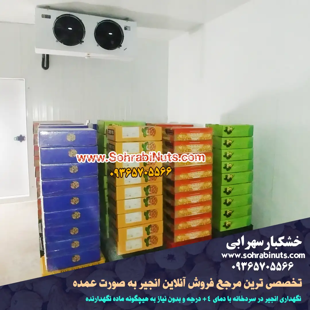 خرید انجیر خشک نگهداری شده در سردخانه بدون افت کیفیت خرید انجیر خشک | انجیر خشک نگهداری شده در سردخانه انجیر